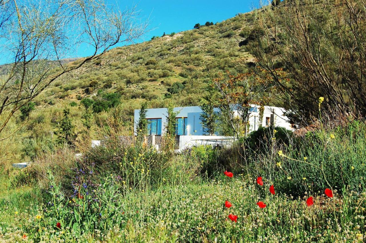 奥尔希瓦La Casa De Cristal - Alpujarra Escape别墅 外观 照片